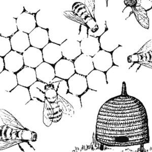 Meet your Posher, Lee